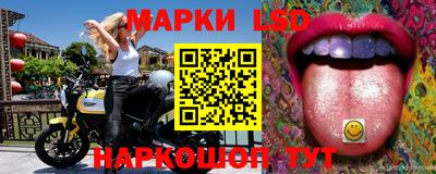 ешки Бийск