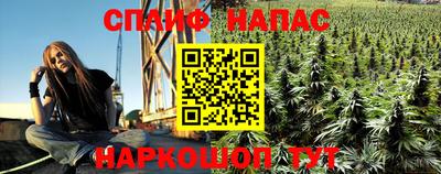 ешки Бийск